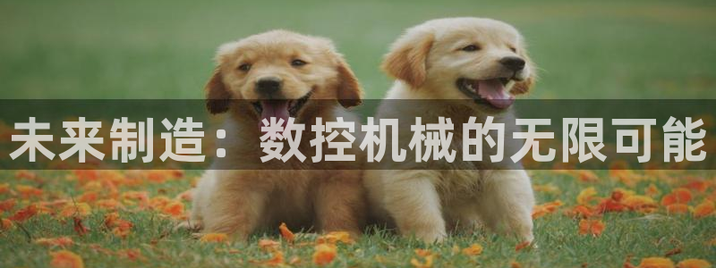 天辰娱乐路线