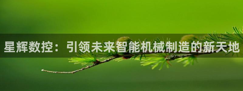 天辰娱乐所