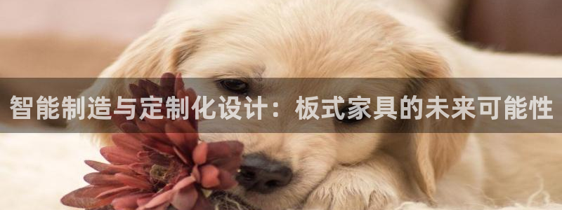 天辰娱乐官网平台入口