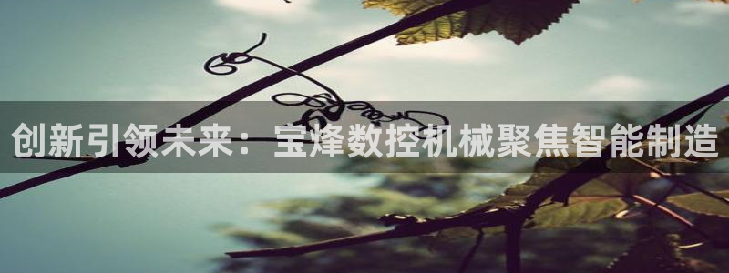 天辰娱乐 39974