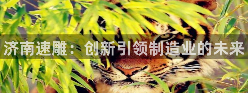 天辰 娱乐 注册