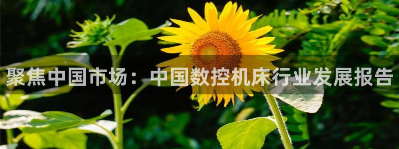 天辰娱乐视频