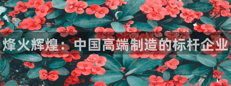 天辰娱乐首页
