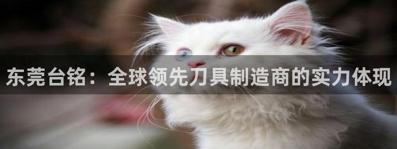 天辰娱乐APP下载