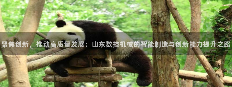 天辰娱乐会所