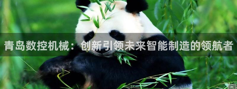 天辰娱乐官网