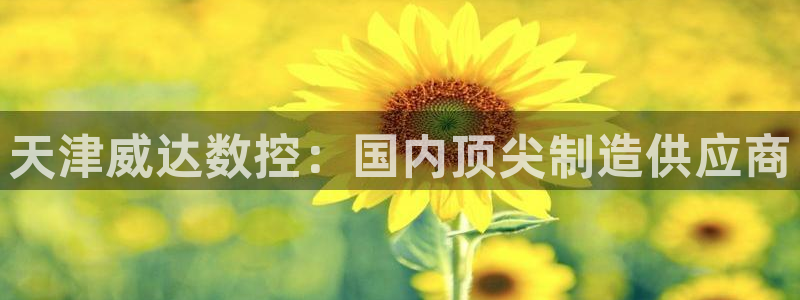 天辰娱乐平台登录账号