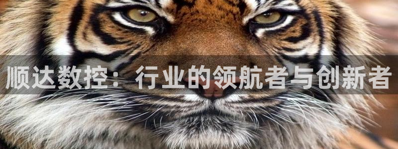天辰娱乐线路