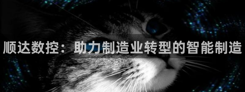 天辰娱乐维护