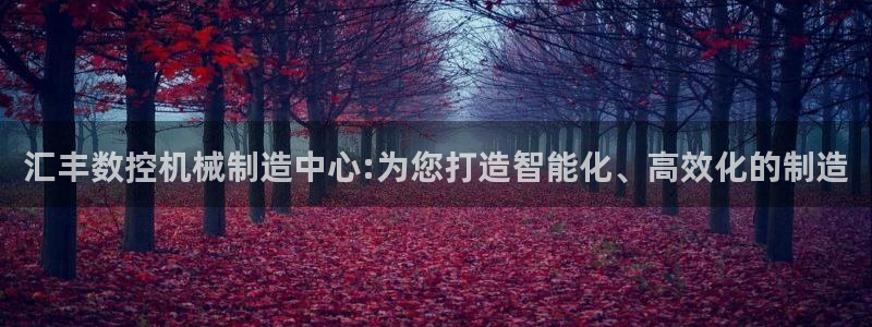 辰天娱乐用品