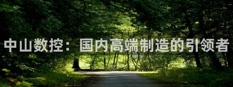 手机上怎么下载天辰娱乐