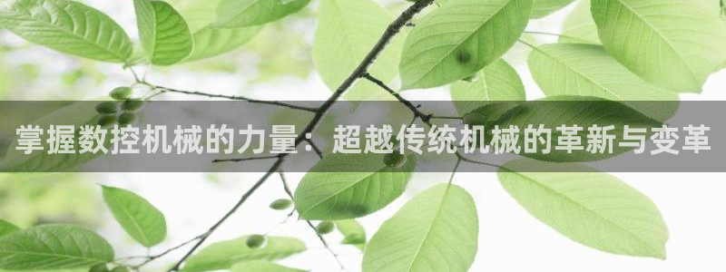 天辰娱乐反水