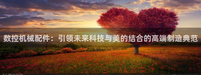 天辰娱乐海洋