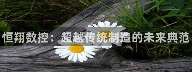 天辰娱乐1966