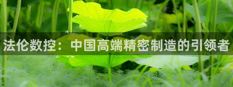 天辰注册娱乐