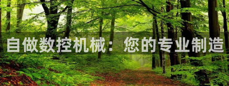 天辰娱乐39974神