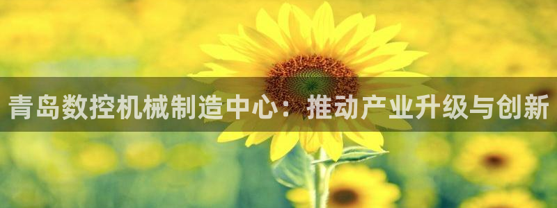 天辰臣娱乐