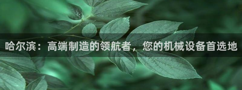 天辰娱乐赌博