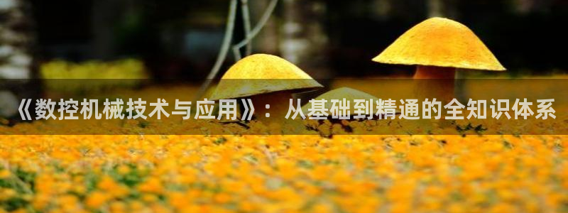天辰娱乐简介