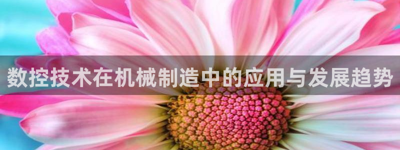 天辰娱乐台湾