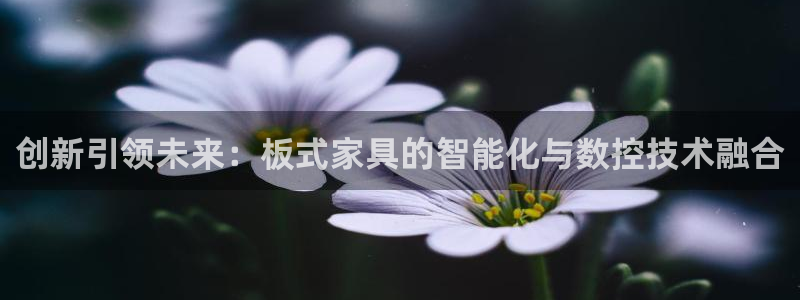 天辰娱乐台湾