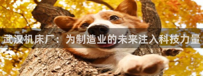 天辰臣娱乐