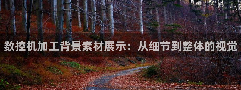 天辰娱乐扣钱