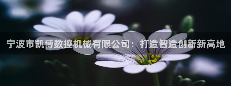 天辰娱乐指尖所：宁波市凯博数控机械有限公司：打造智造创新新高地