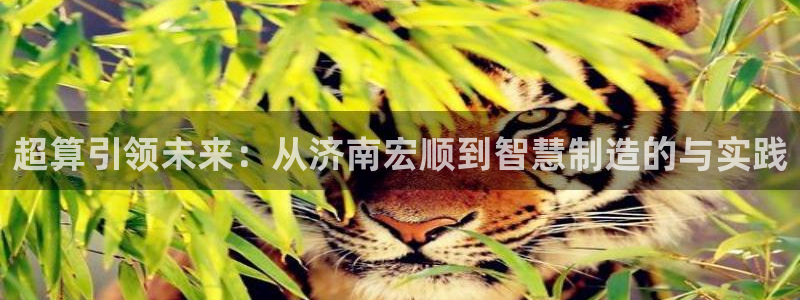 天辰娱乐首选