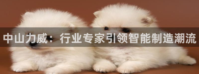 天辰娱乐44516
