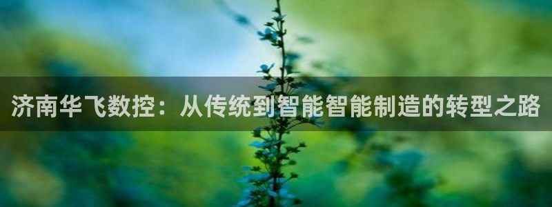 天辰娱乐平台app下载