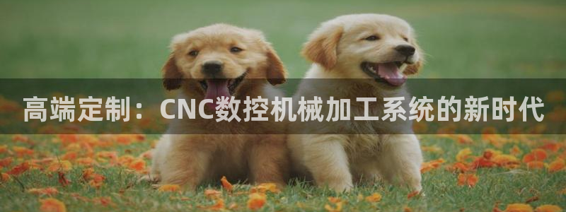 天辰娱乐娱乐