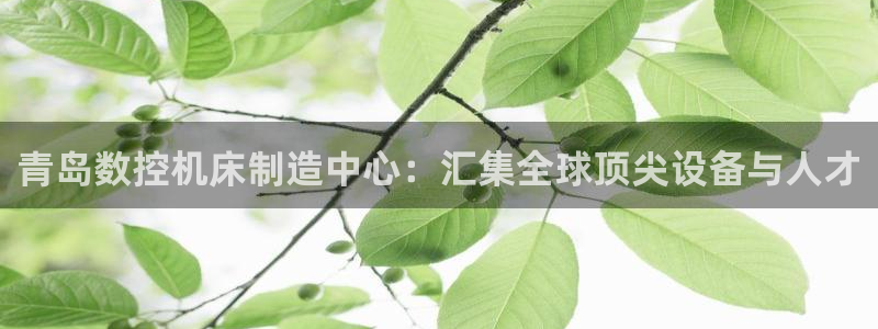 天辰娱乐 主管