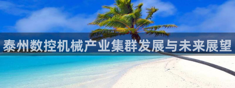 天辰娱乐官方网：泰州数控机械产业集群发展与未来展望