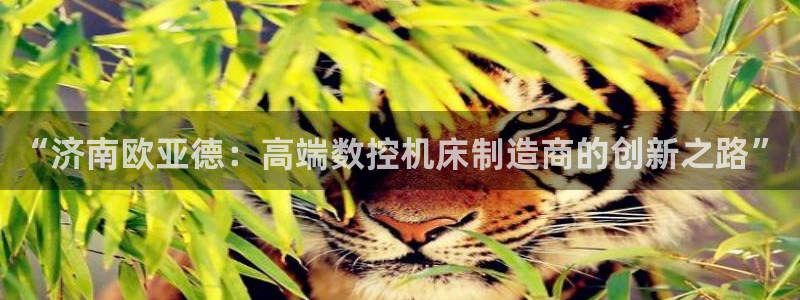 天富娱乐与天辰娱乐