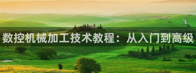 天辰娱乐平台注册