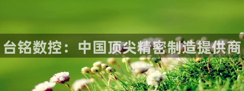 天辰娱乐平台app下载