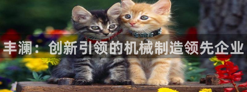 天辰娱乐平台注册