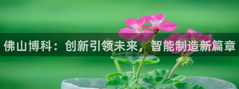 菲律宾天辰娱乐