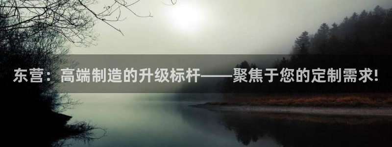 天辰娱乐赌博：东营：高端制造的升级标杆——聚焦于您的定制需求!