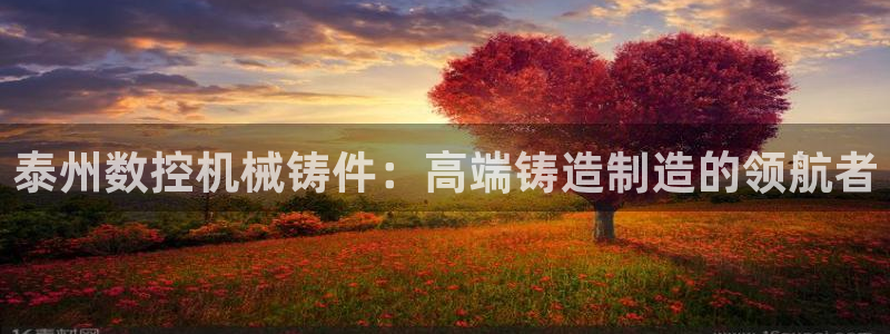 天辰娱乐best：泰州数控机械铸件：高端铸造制造的领航者