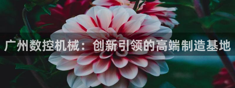 天辰娱乐游戏：广州数控机械：创新引领的高端制造基地