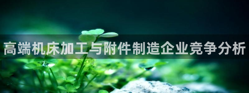 天辰宝娱乐