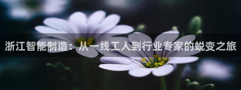 天辰娱乐赌博：浙江智能制造：从一线工人到行业专家的蜕变之旅