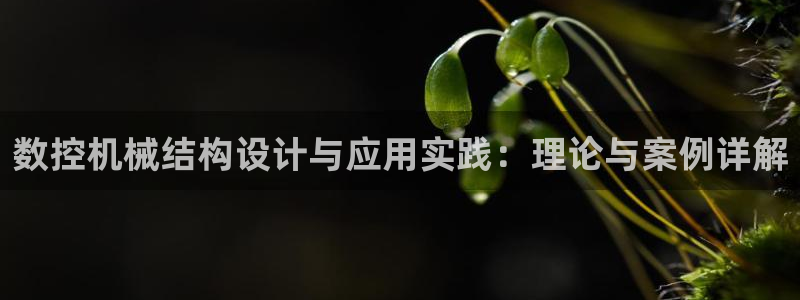 天辰辰娱乐代理