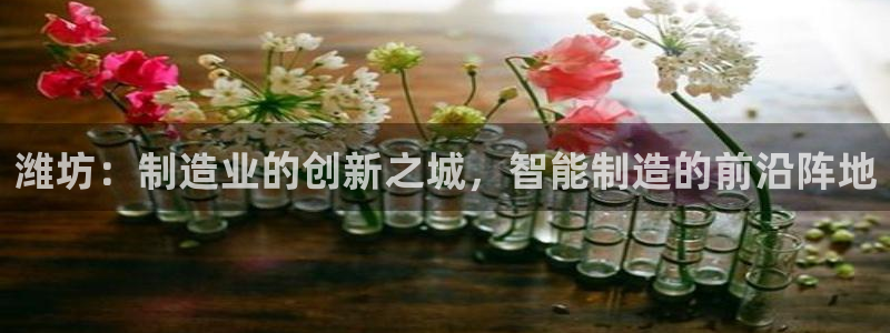 天辰娱乐平台地址