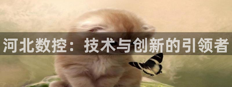 天辰娱乐连接:河北数控:技术与创新的引领者