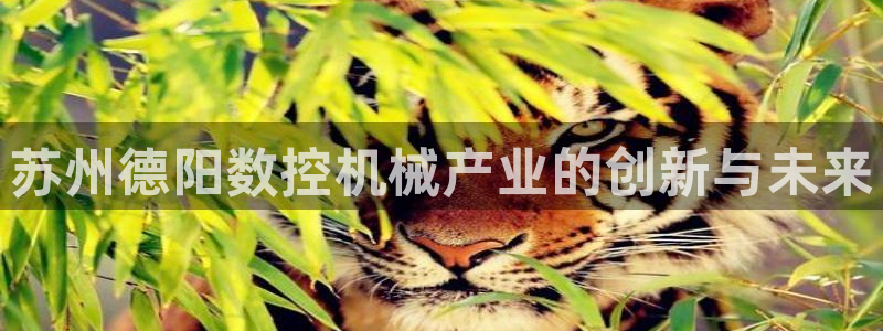 天辰娱乐招商:苏州德阳数控机械产业的创新与未来